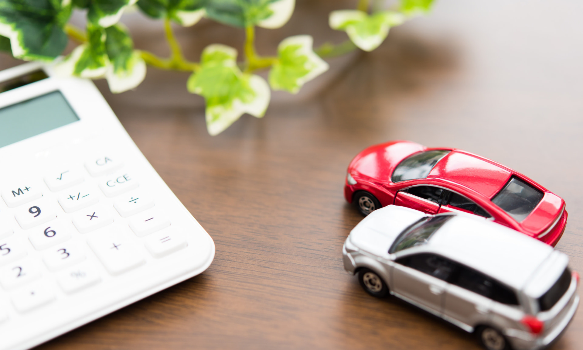 バスク法人向けサービスイメージ