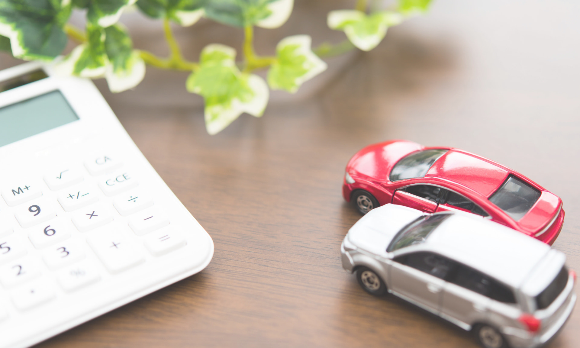 バスク法人向けサービスイメージ